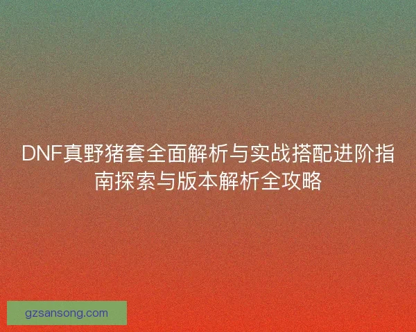 DNF真野猪套全面解析与实战搭配进阶指南探索与版本解析全攻略
